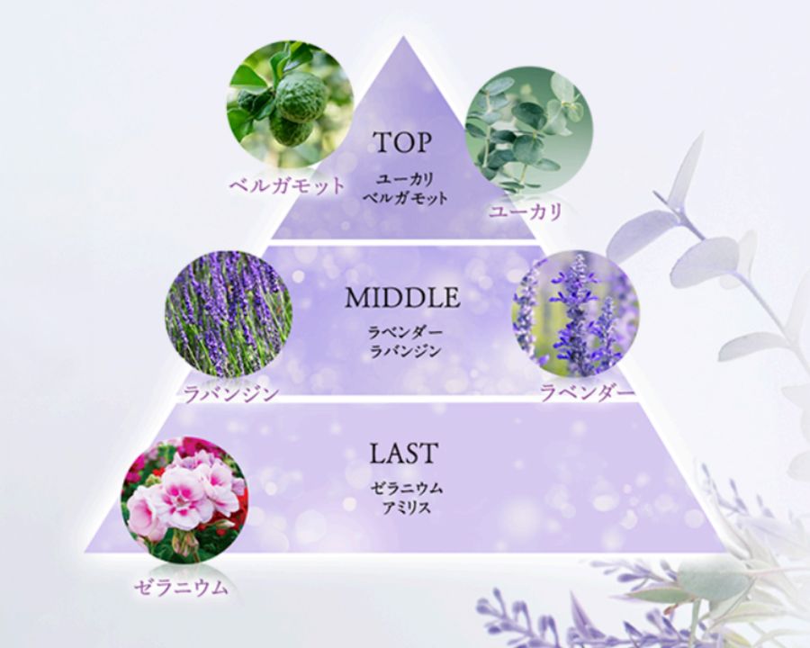 as_017.jpg