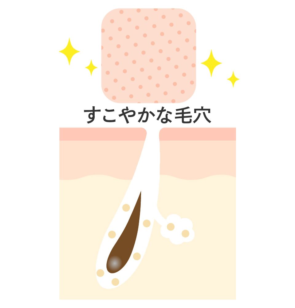 皮脂バランスが整っている毛穴のイメージ