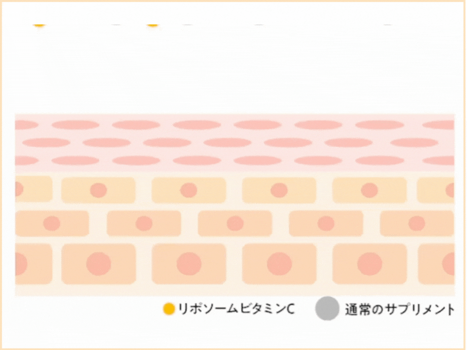 uf_001.gif