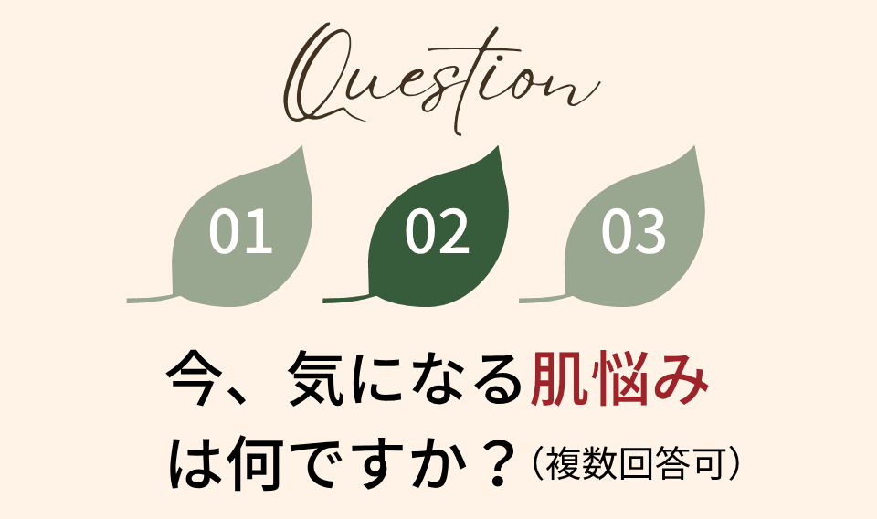 hs_073.png