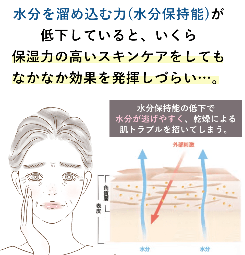 yo_005_肌断面図.png